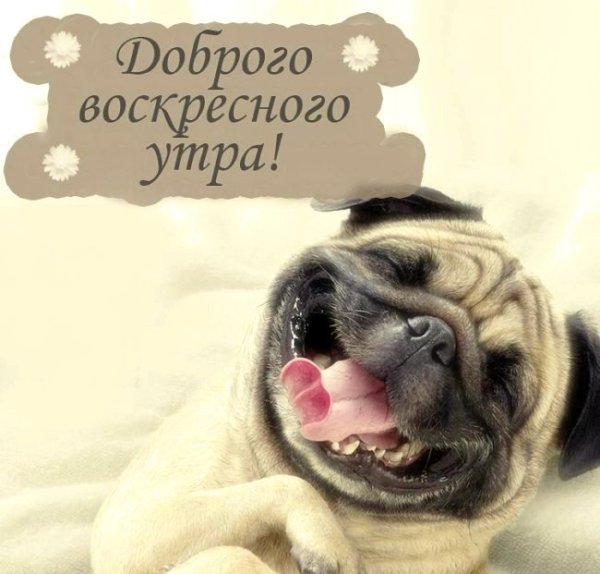 Шутки про воскресенье