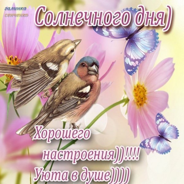 Воскресного дня и отличного настроения