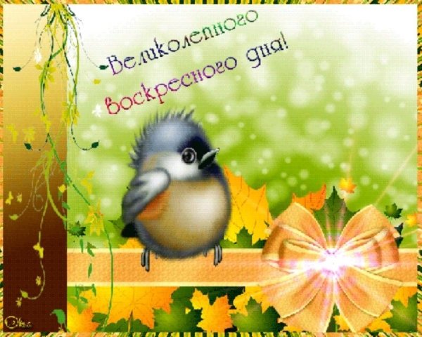 Доброго воскресного дня