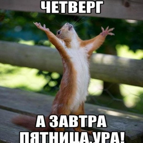 Ура четверг а завтра пятница