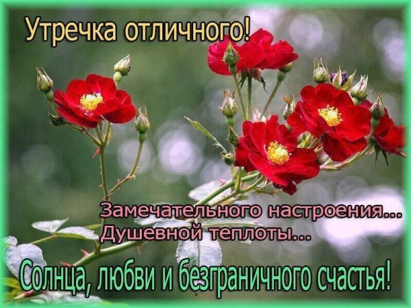 Благословенного утра и прекрасного дня