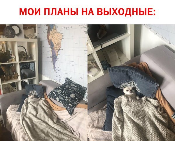 Мои планы на выходные