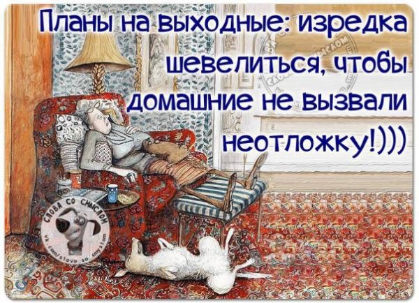 План на выходные прикольные