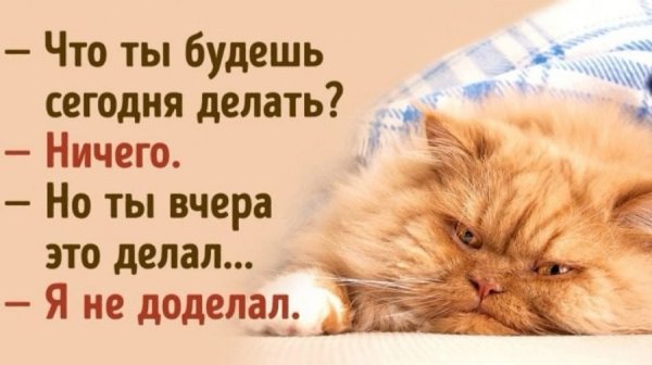 Фразы про выходные