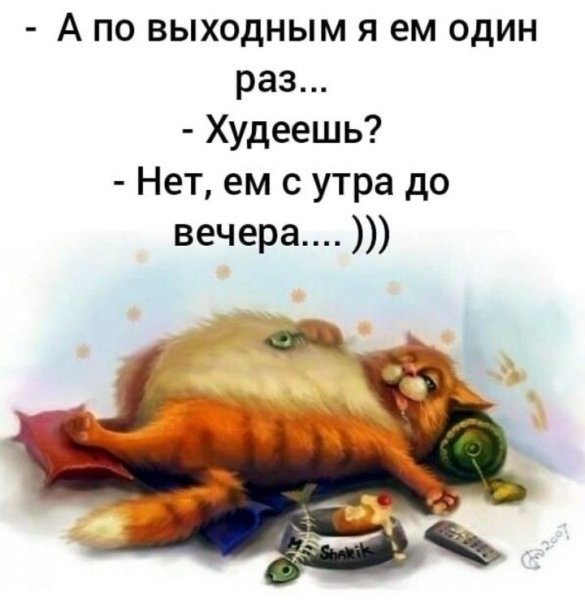 Афоризмы про выходные