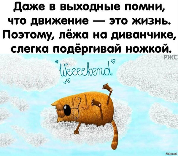 Смешные высказывания про выходные