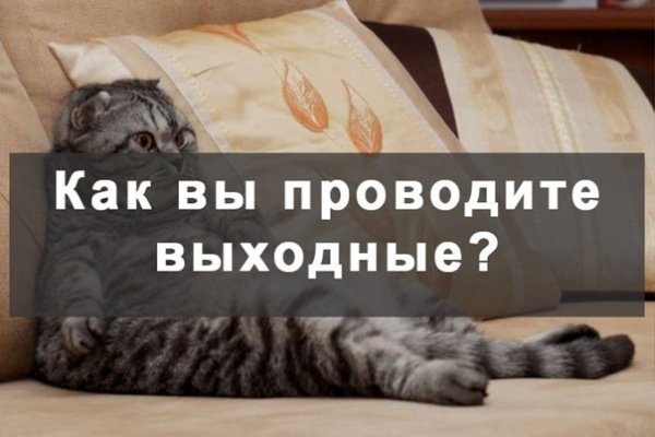 Как провести выходные