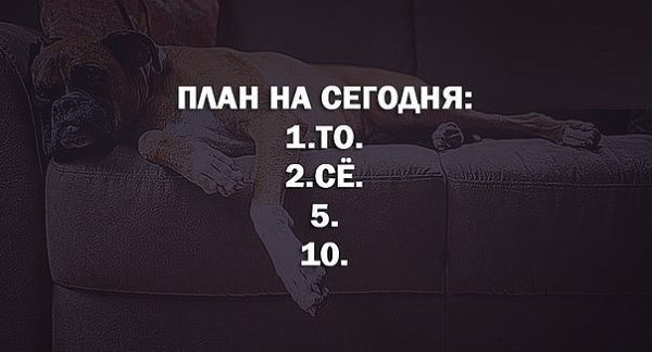План на выходные прикольные