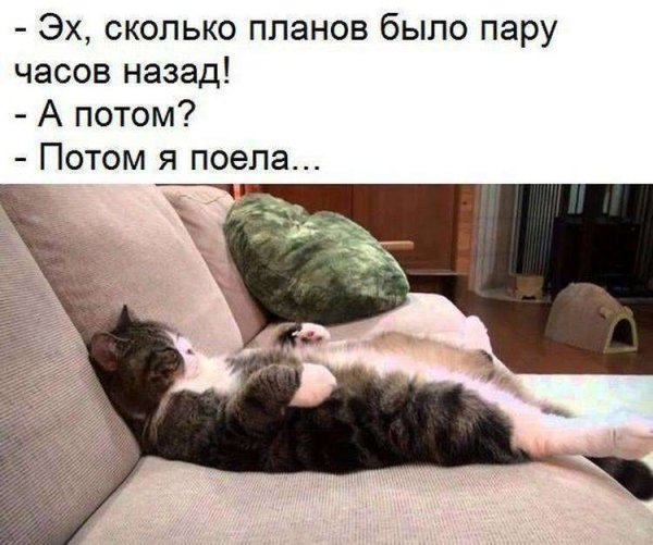 Столько планов на выходные