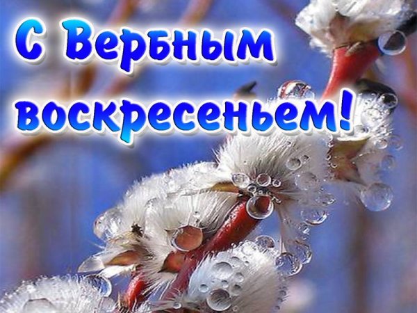 Вербное воскресенье слайды