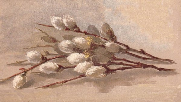 Елизавета Бем Вербное воскресенье