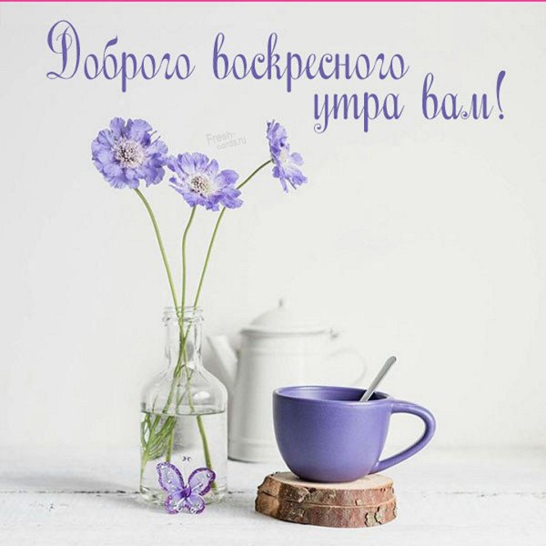 С мирным воскресным утром