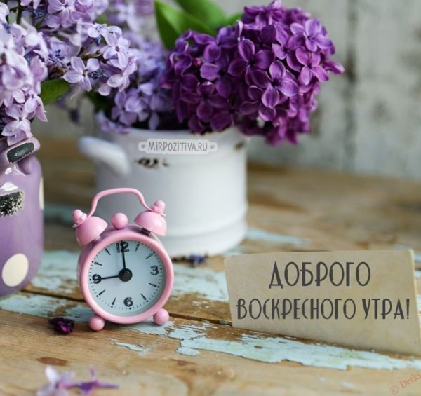 Доброе Воскресное у РО