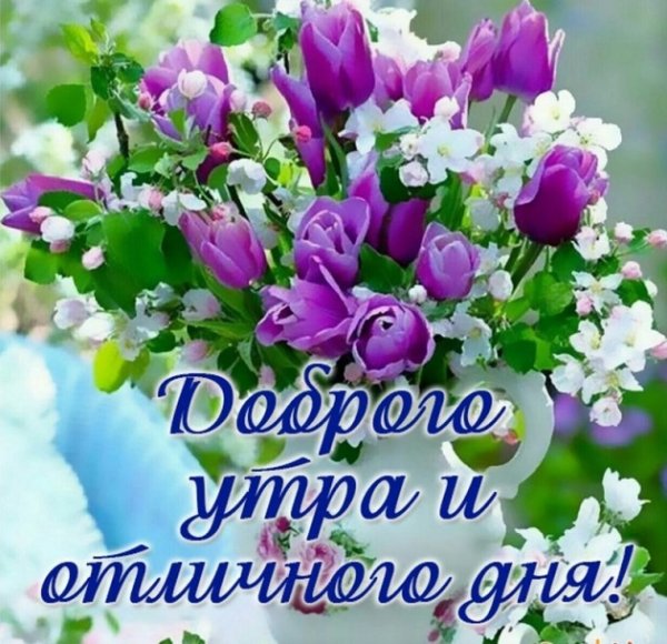 Открытки доброе утро