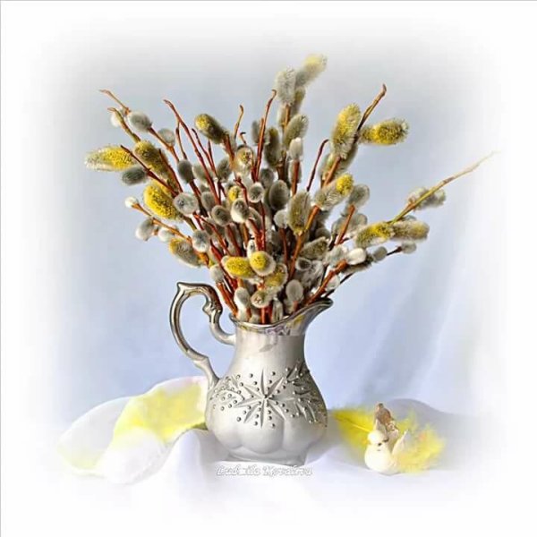 Букет вербы к Вербному воскресенью