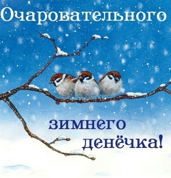 Зорошего зимнего денёчка
