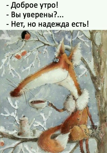 Доброе утро юмор