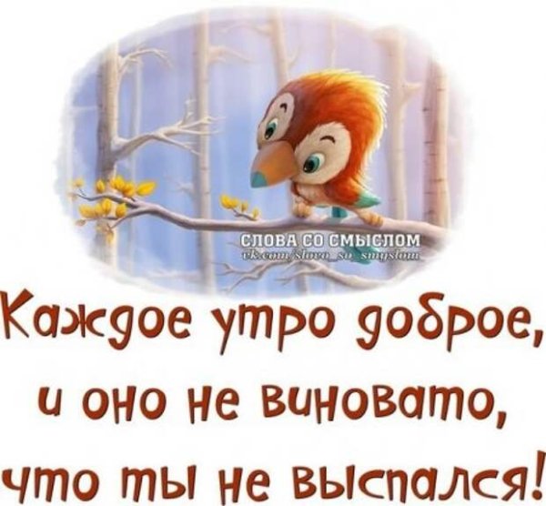 Смешные высказывания с добрым утром