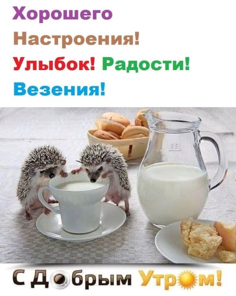 Бодрого утречка прикольные
