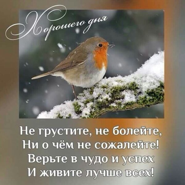 Доброго зимнего утра цитаты
