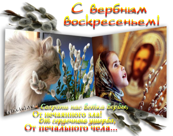 С Вербным воскресеньем здоровья и душевной гармонии