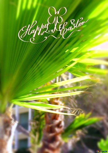Happy Palm Sunday картинки