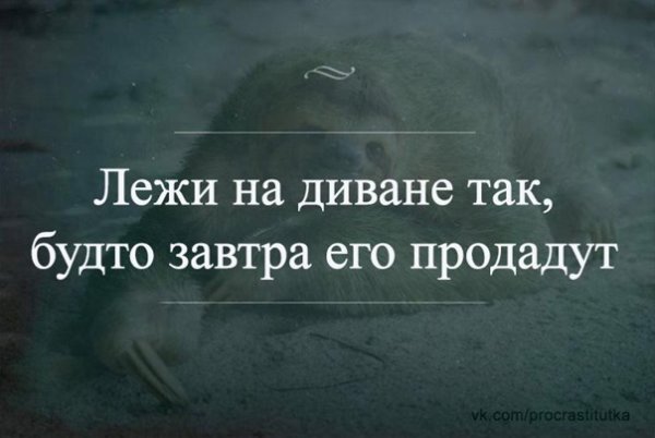 Лежит на диване так будто завтра его продадут