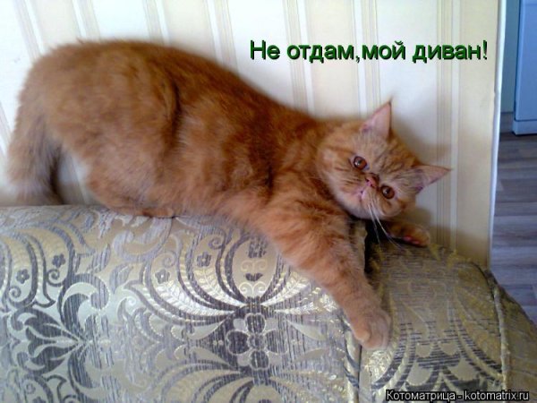 Мое не отдам