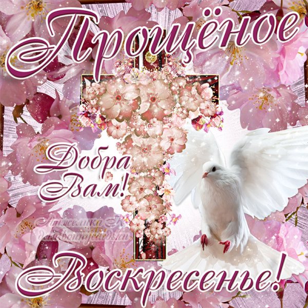 Прощеное воскресенье открытка