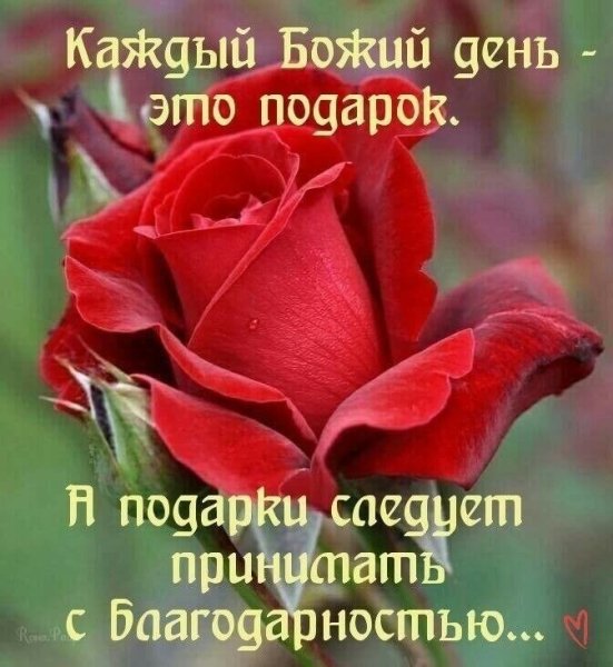 Божьих благословений