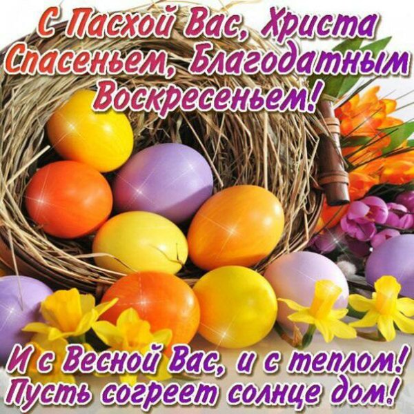 С Вербным воскресеньем открытки красивые