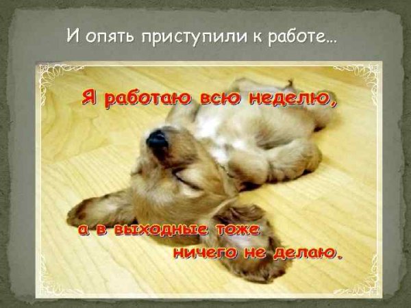 Хорошо потрудиться в выходные картинки