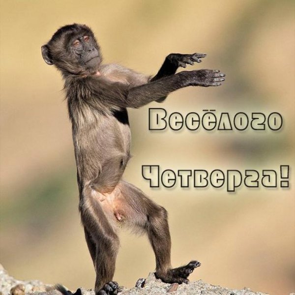 Воскресенье приколы