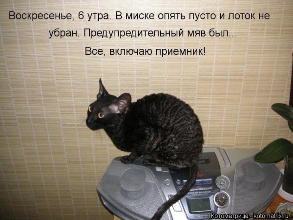 Опять воскресенье