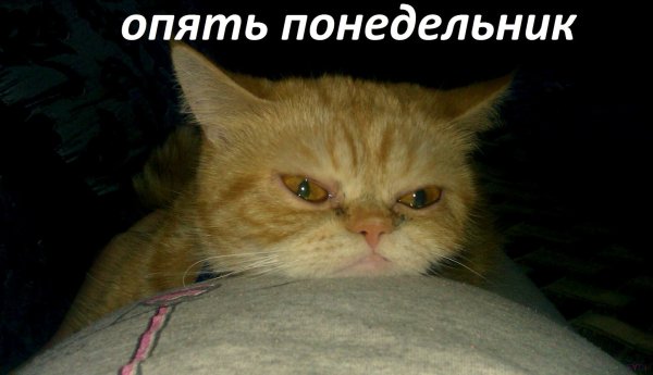 Опять понедельник