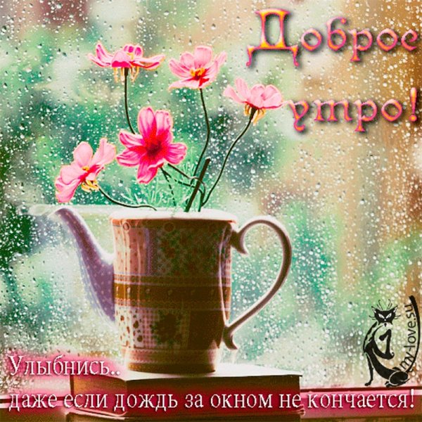 Счастья в дождливый день
