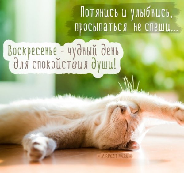 Доброе Воскресное утро прикольные