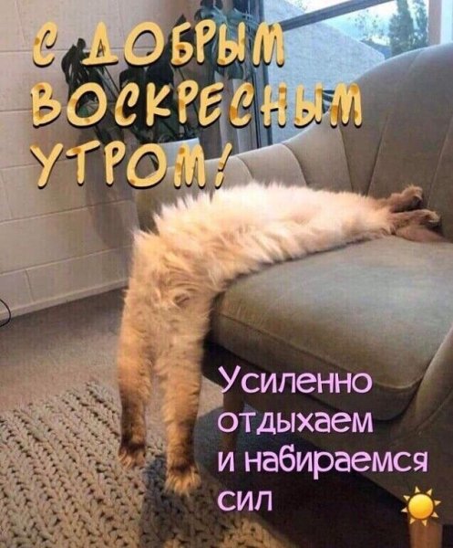 Воскресенье с добрым утром с юмором