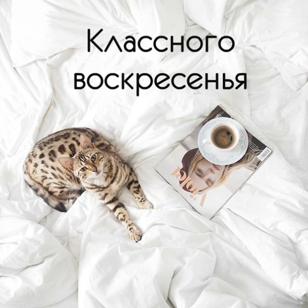 Идеальное воскресенье