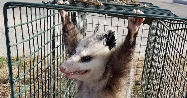 Работа в воскресенье приколы