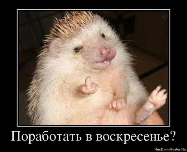 Воскресенье на работу прикольные