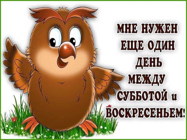 Воскресенье выходной цитаты