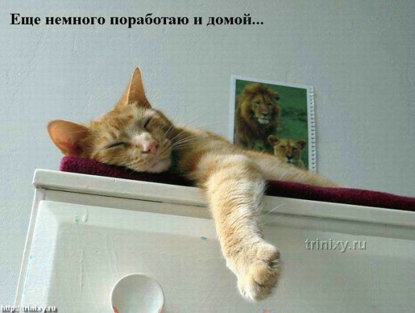 Доброе воскреснее утро