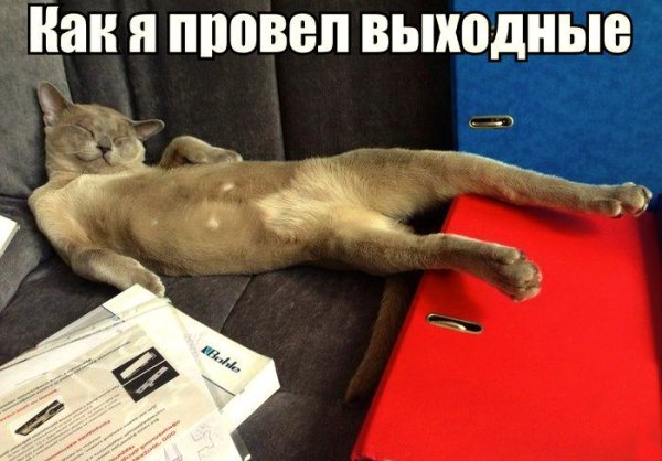 Отличного воскресенья