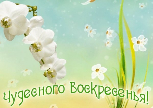 С добрым воскресным утром