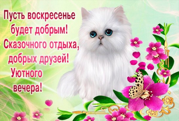 С добрым воскресным утром