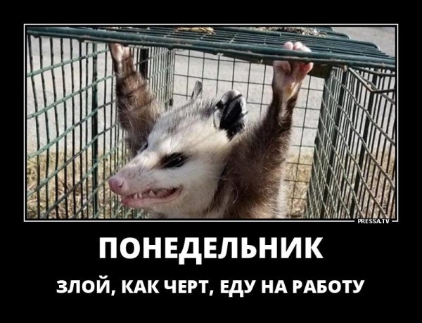 Работа в воскресенье приколы