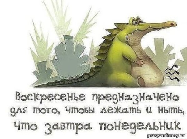 Воскресенье приколы