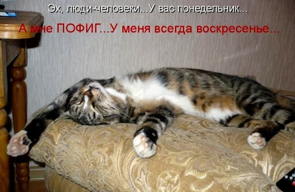 Воскресенье приколы