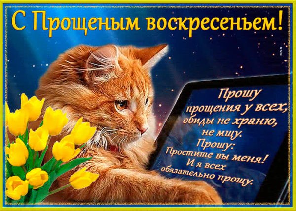 Открытки с прощённым воскресеньем